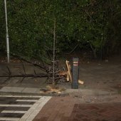 Kerstboombranden Noordwijk